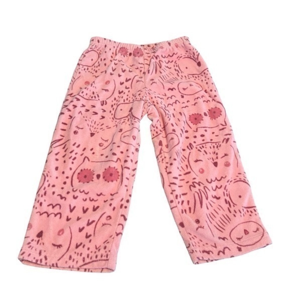 Carters Owl Fleece Pants Size 2T